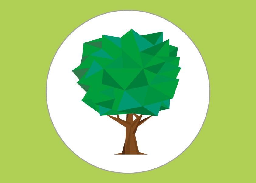 arbre_amazonie_bbb